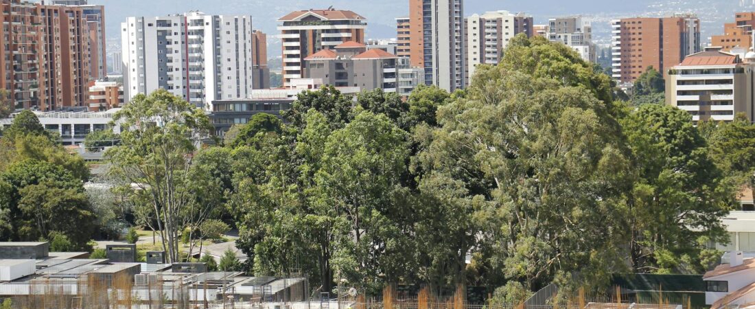 Coliving Medellín: A 2025 Guide for Digital Nomads